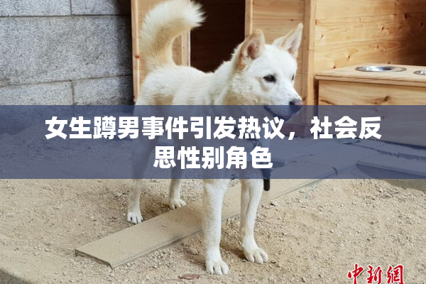 女生蹲男事件引发热议，社会反思性别角色