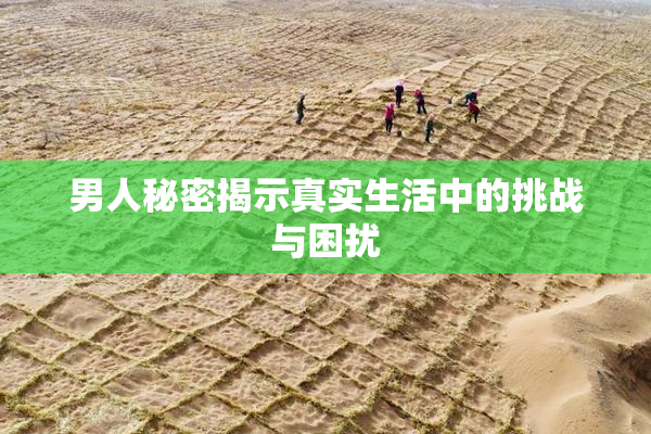 男人秘密揭示真实生活中的挑战与困扰