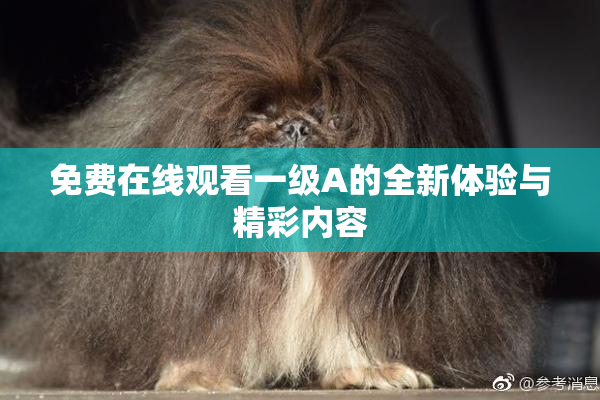 免费在线观看一级A的全新体验与精彩内容