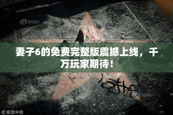 妻子6的免费完整版震撼上线，千万玩家期待！