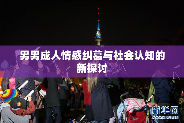 男男成人情感纠葛与社会认知的新探讨