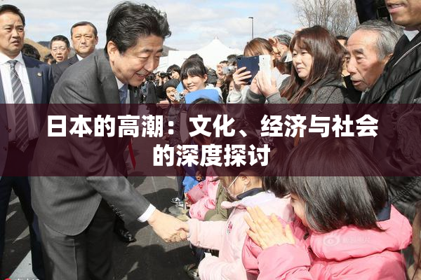 日本的高潮：文化、经济与社会的深度探讨