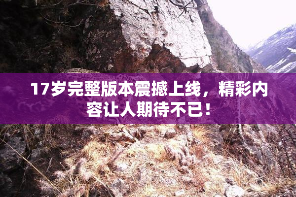 17岁完整版本震撼上线，精彩内容让人期待不已！