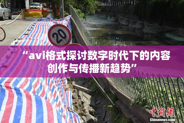 “avi格式探讨数字时代下的内容创作与传播新趋势”