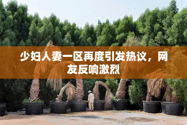 少妇人妻一区再度引发热议，网友反响激烈