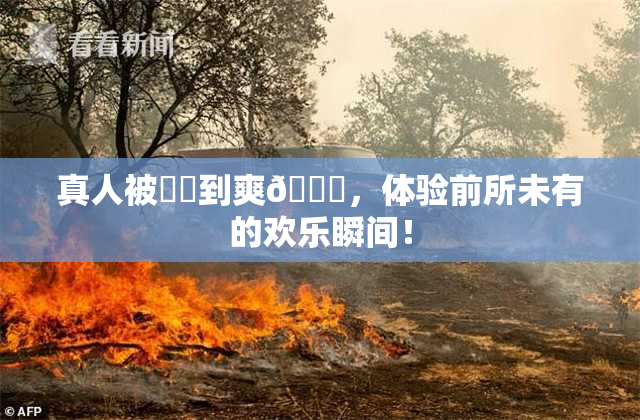 真人被❌‌到爽🔞，体验前所未有的欢乐瞬间！