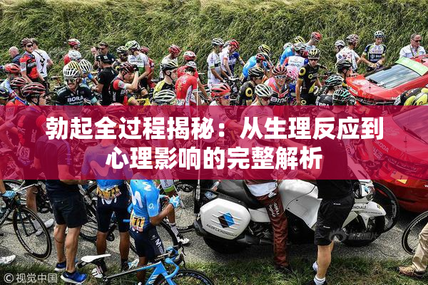 勃起全过程揭秘：从生理反应到心理影响的完整解析