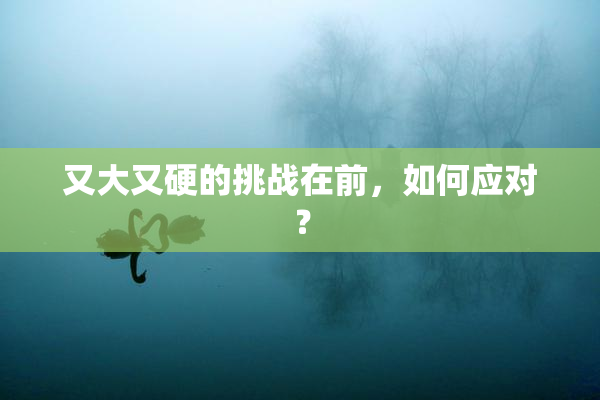 又大又硬的挑战在前，如何应对？