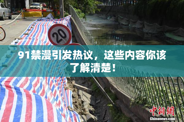 91禁漫引发热议，这些内容你该了解清楚！