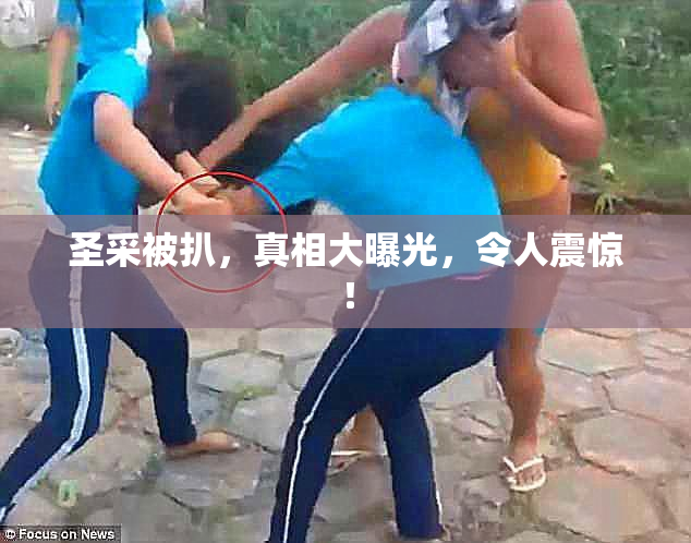 圣采被扒，真相大曝光，令人震惊！