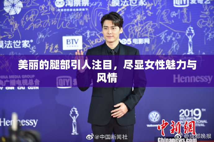 美丽的腿部引人注目，尽显女性魅力与风情