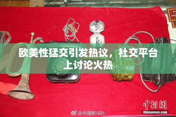 欧美性猛交引发热议，社交平台上讨论火热