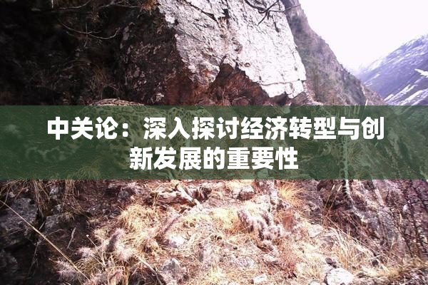 中关论：深入探讨经济转型与创新发展的重要性