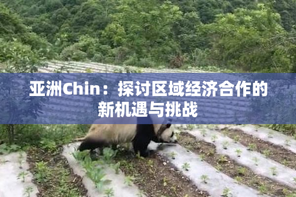亚洲Chin：探讨区域经济合作的新机遇与挑战