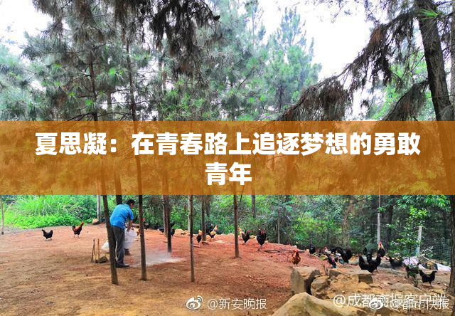夏思凝：在青春路上追逐梦想的勇敢青年