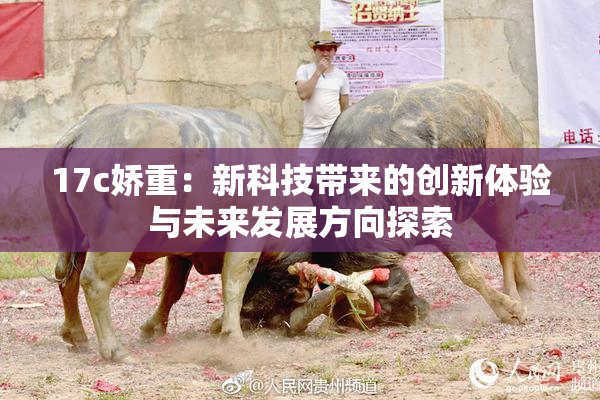 17c娇重：新科技带来的创新体验与未来发展方向探索