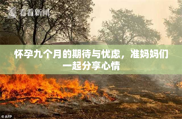 怀孕九个月的期待与忧虑，准妈妈们一起分享心情
