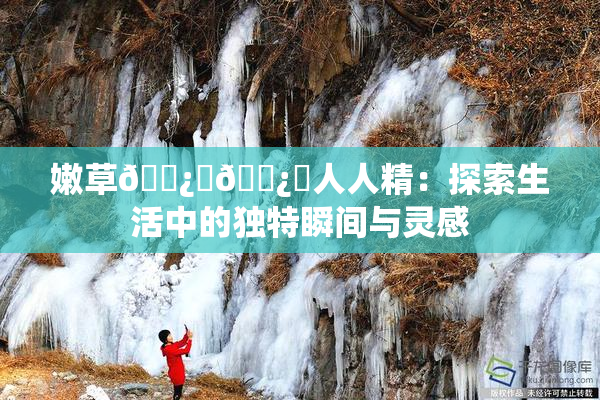嫩草🌿‌🌿‌人人精：探索生活中的独特瞬间与灵感