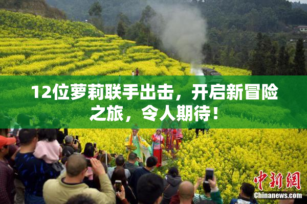 12位萝莉联手出击，开启新冒险之旅，令人期待！