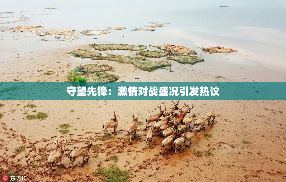 守望先锋：激情对战盛况引发热议