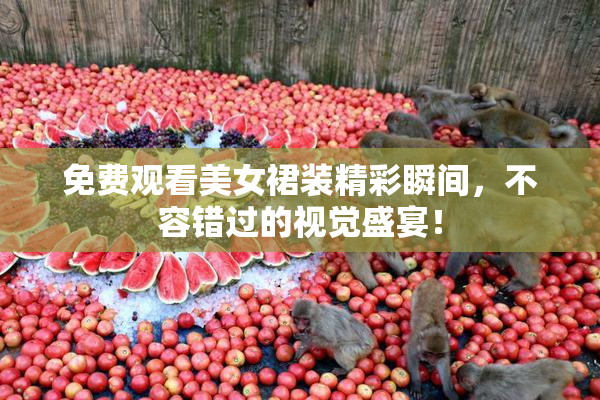 免费观看美女裙装精彩瞬间，不容错过的视觉盛宴！