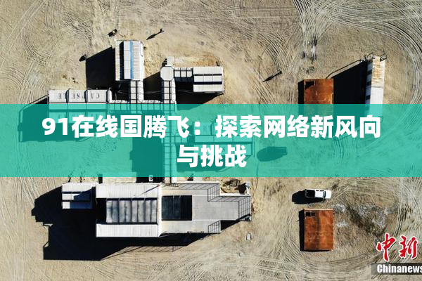 91在线国腾飞：探索网络新风向与挑战