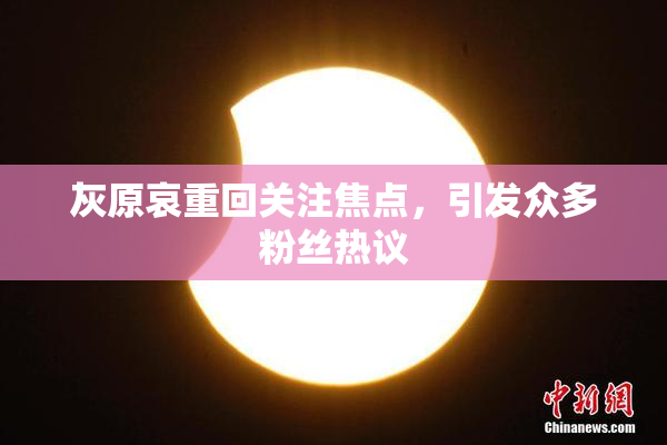 灰原哀重回关注焦点，引发众多粉丝热议