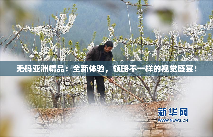 无码亚洲精品：全新体验，领略不一样的视觉盛宴！