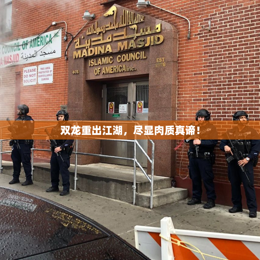 双龙重出江湖，尽显肉质真谛！