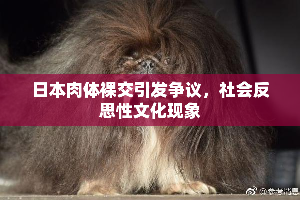 日本肉体裸交引发争议，社会反思性文化现象