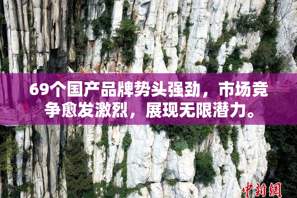 69个国产品牌势头强劲，市场竞争愈发激烈，展现无限潜力。