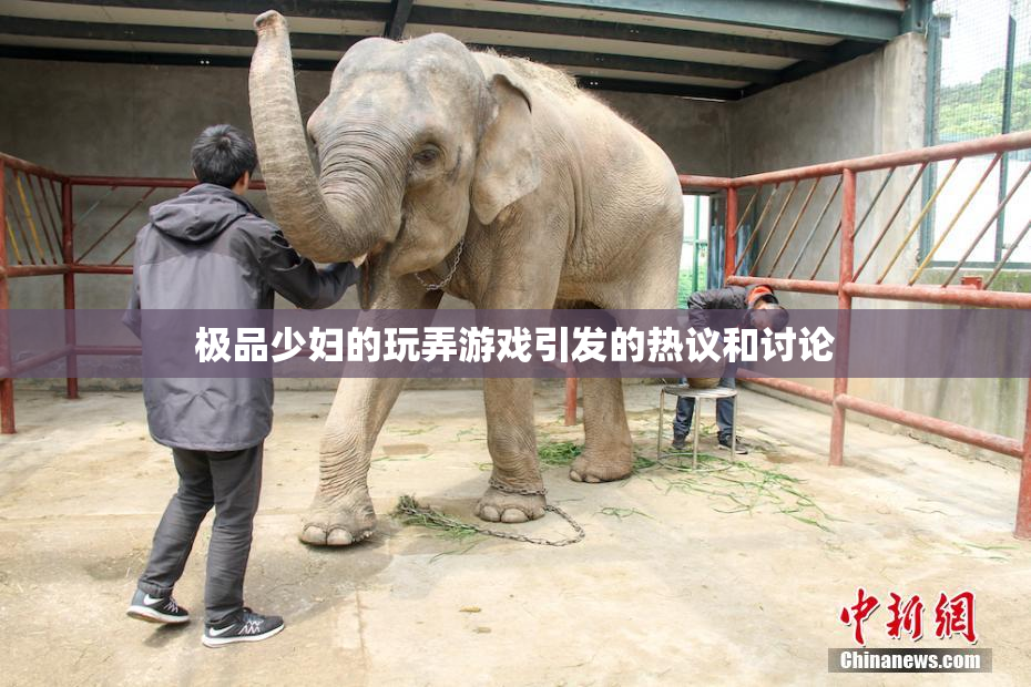 极品少妇的玩弄游戏引发的热议和讨论