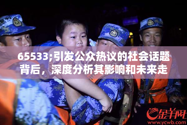 65533;引发公众热议的社会话题背后，深度分析其影响和未来走向
