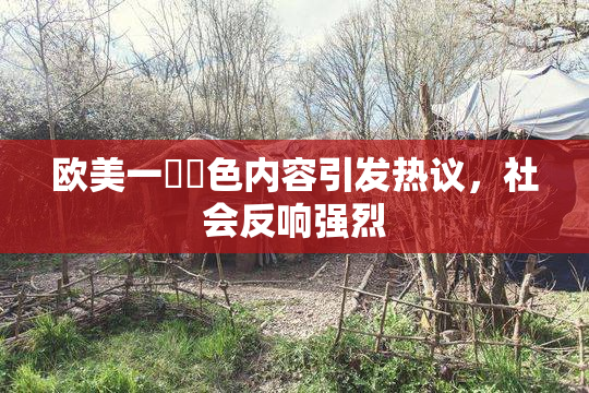 欧美一級黃色内容引发热议，社会反响强烈
