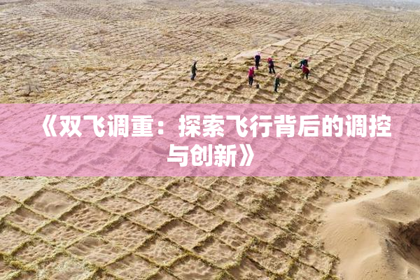 《双飞调重：探索飞行背后的调控与创新》