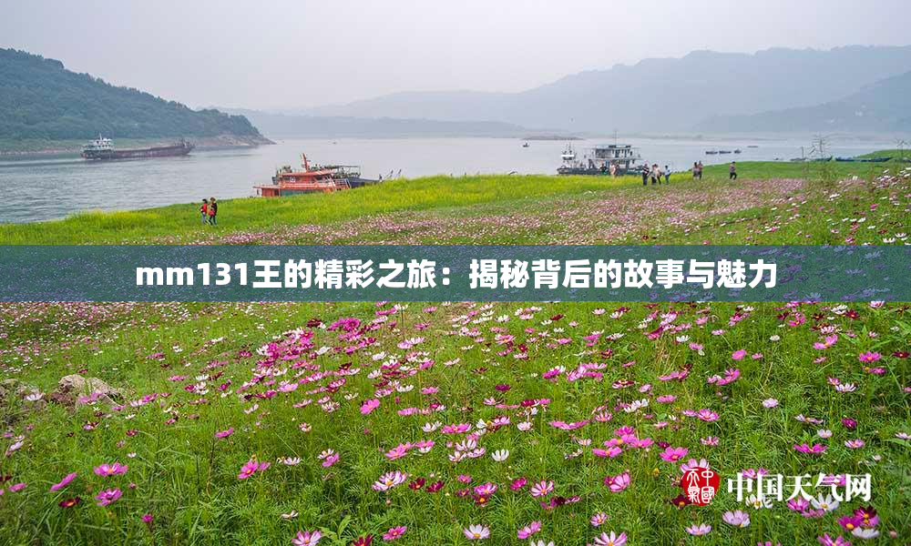 mm131王的精彩之旅：揭秘背后的故事与魅力