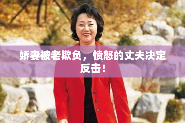 娇妻被老欺负，愤怒的丈夫决定反击！