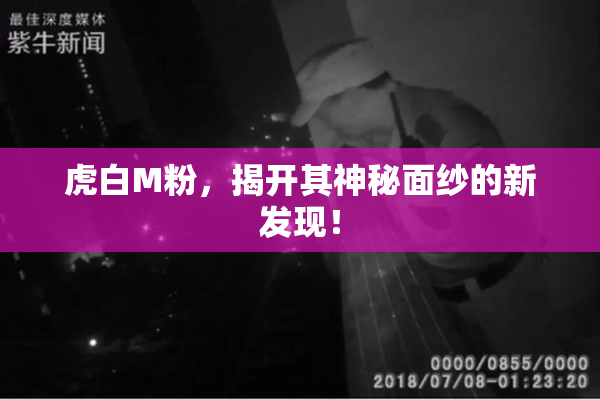 虎白M粉，揭开其神秘面纱的新发现！