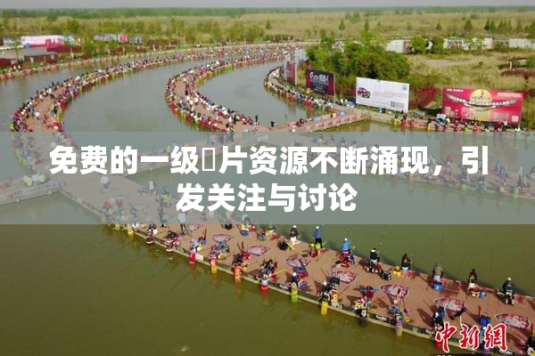 免费的一级婬片资源不断涌现，引发关注与讨论