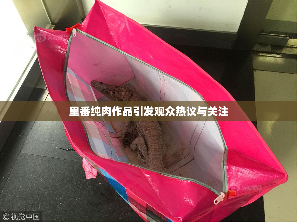 里番纯肉作品引发观众热议与关注