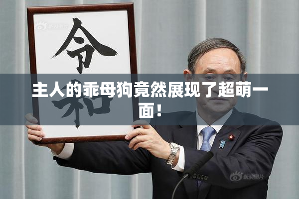 主人的乖母狗竟然展现了超萌一面！