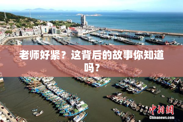 老师好紧？这背后的故事你知道吗？