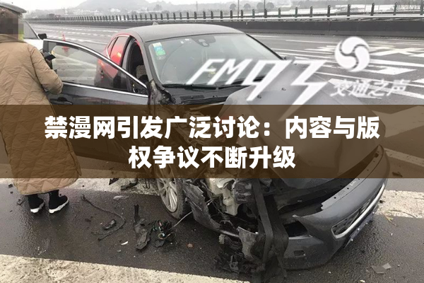 禁漫网引发广泛讨论：内容与版权争议不断升级