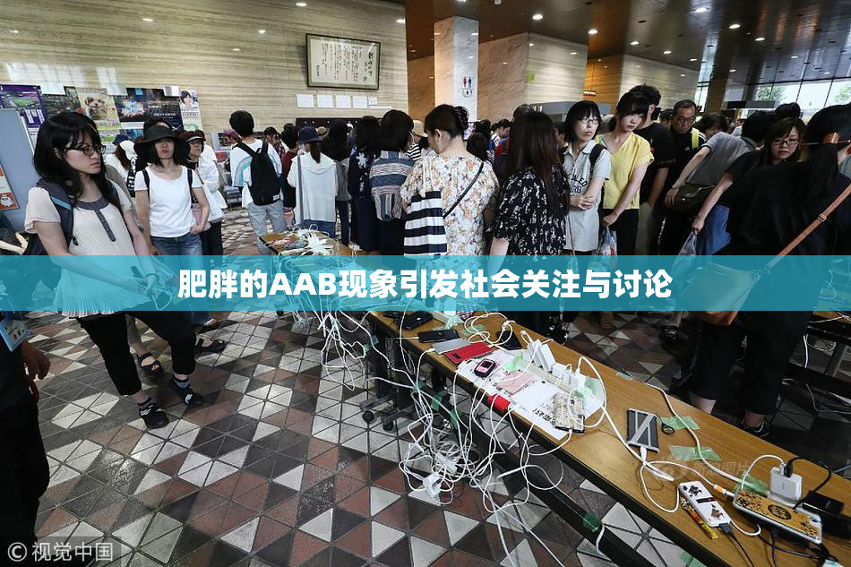 肥胖的AAB现象引发社会关注与讨论