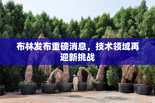 布林发布重磅消息，技术领域再迎新挑战