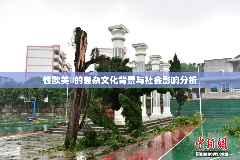 性欧美婬的复杂文化背景与社会影响分析