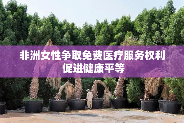非洲女性争取免费医疗服务权利 促进健康平等