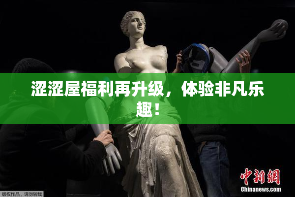 涩涩屋福利再升级，体验非凡乐趣！