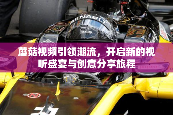 蘑菇视频引领潮流，开启新的视听盛宴与创意分享旅程