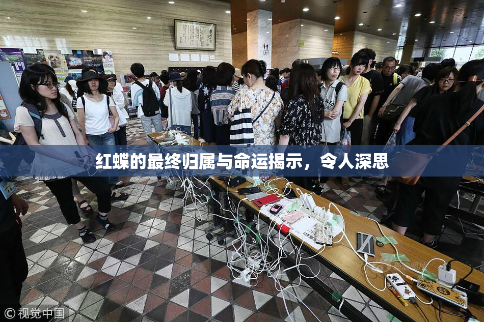 红蝶的最终归属与命运揭示，令人深思